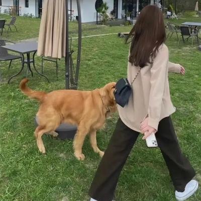 昆西四季